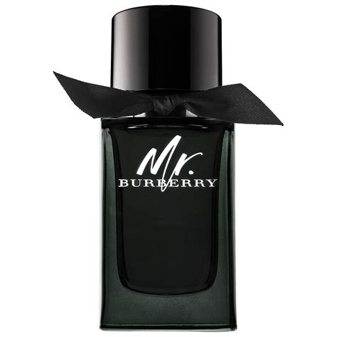 mr burberry parfym|burberry eau de parfum 50ml.